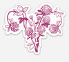 The Botanical Uteri Sticker Series