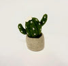 Felt Handmade Felt Small Plant- Barrell Cactus
