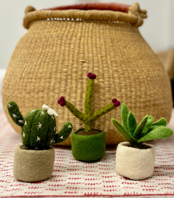 Handmade Felt Small Plant
