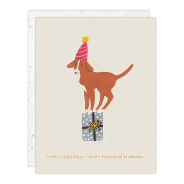 Seedlings Birthday Dog Greeting Card