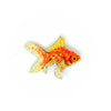 Fantail Goldfish Brooch